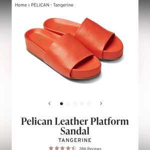 Beek Pelican Leather Platform Sandal in Tangerine size 7